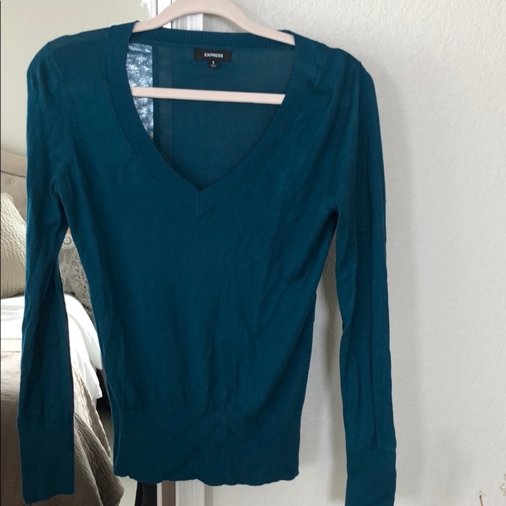 Express vneck sweater